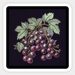 Blackcurrant drawing Sticker